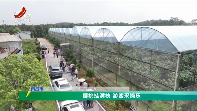三农头条20250508