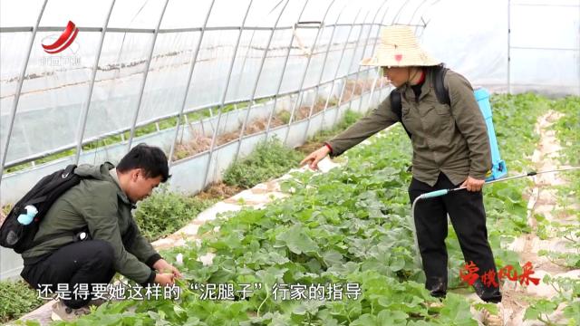 社会传真20250512 劳模风采：匠心耕耘富乡村