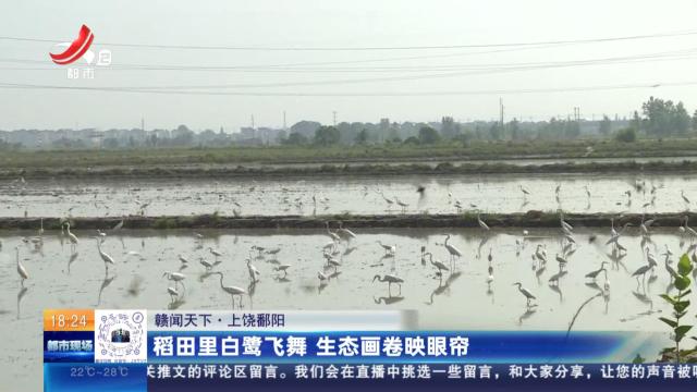 都市现场20250515