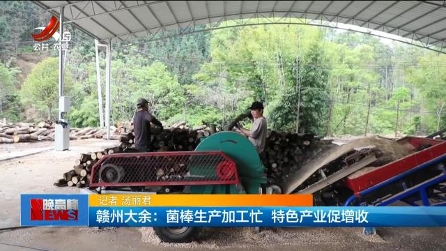 赣州大余：菌棒生产加工忙 特色产业促增收