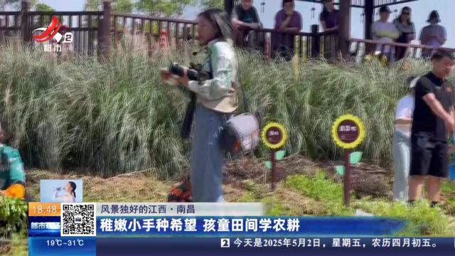 【风景独好的江西】南昌：稚嫩小手种希望 孩童田间学农耕