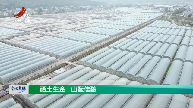 赣出精彩20250516
