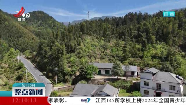 整点新闻20250520 12：00
