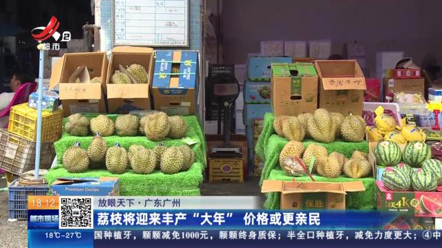 【放眼天下】广东广州：荔枝将迎来丰产“大年” 价格或更亲民