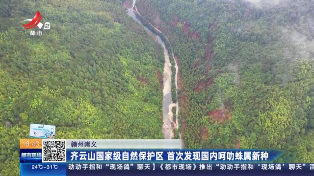 赣州崇义：齐云山国家级自然保护区 首次发现国内呵叻蛛属新种