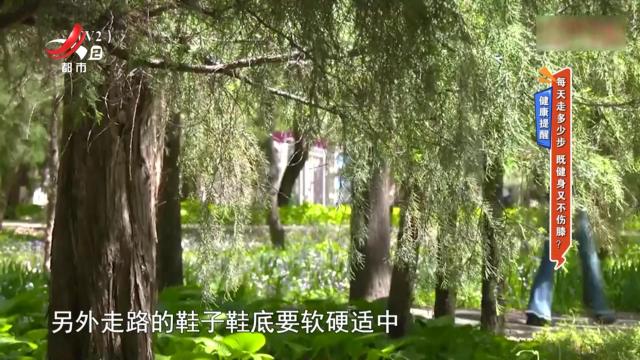 地宝当家20250528