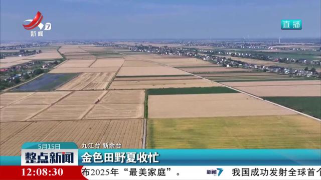 金色田野夏收忙