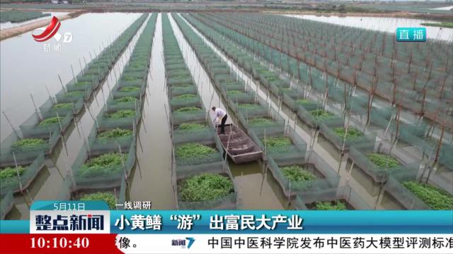 【一线调研】小黄鳝“游”出富民大产业