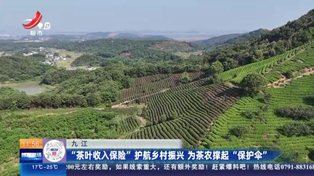 九江：“茶叶收入保险”护航乡村振兴 为茶农撑起“保护伞”