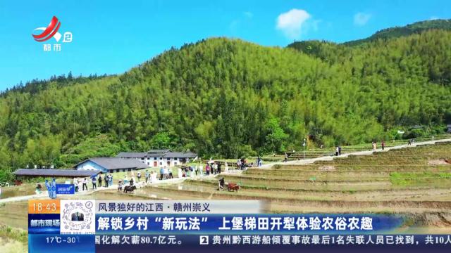 【风景独好的江西】赣州崇义：解锁乡村“新玩法” 上堡梯田开犁体验农俗乐趣