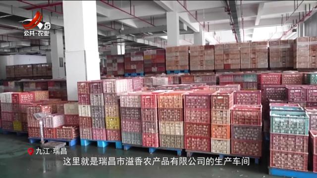 稻花香里20250527 乡村振兴进行时——溢流香：“土鸭蛋”变身“金蛋蛋”