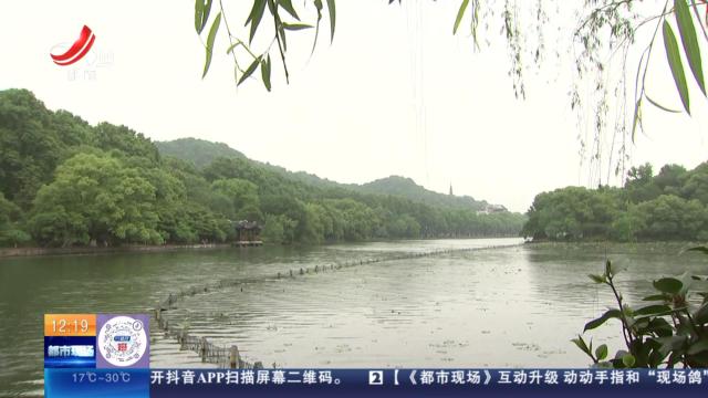 【放眼天下】浙江杭州：精心照护 15只鸳鸯宝宝已送至动物园