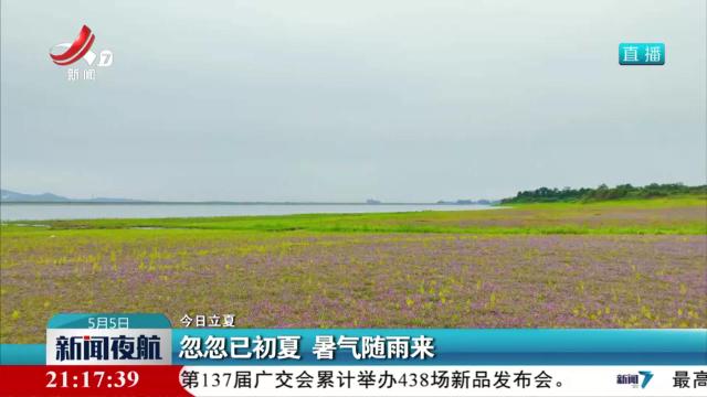 【今日立夏】忽忽已初夏 暑气随雨来