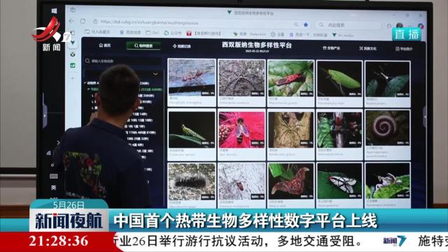 中国首个热带生物多样性数字平台上线