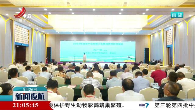 让油茶产业助力乡村全面振兴