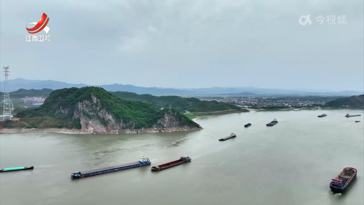【一线调研】长江上有座“零碳岛”