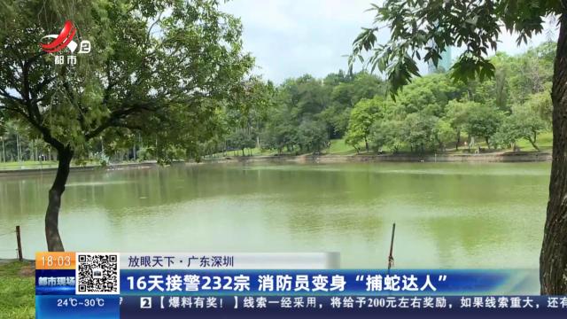 【放眼天下】广东深圳：16天接警232宗 消防员变身“捕蛇达人”
