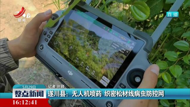 遂川县：无人机喷药 织密松材线病虫防控网