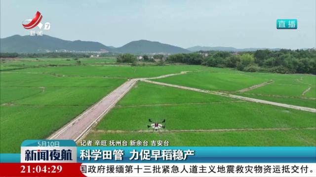 科学田管 力促早稻稳产