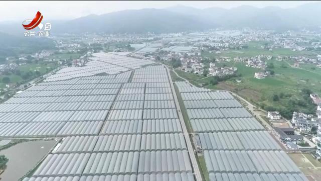 新闻晚高峰20250520