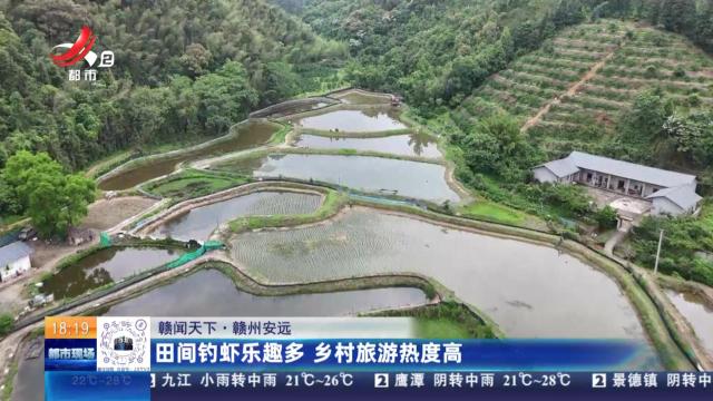 【赣闻天下】赣州安远：田间钓虾乐趣多 乡村旅游热度高