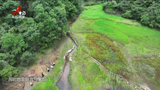 抚州金溪：野生娃娃鱼“误闯”水渠 当地助其回归大自然