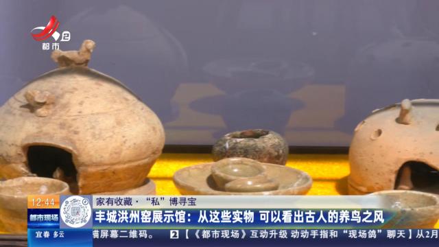【家有收藏·“私”博寻宝】丰城洪州窑展示馆：从这些实物 可以看出古人的养鸟之风