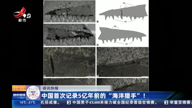 中国首次记录5亿年前的“海洋猎手”！