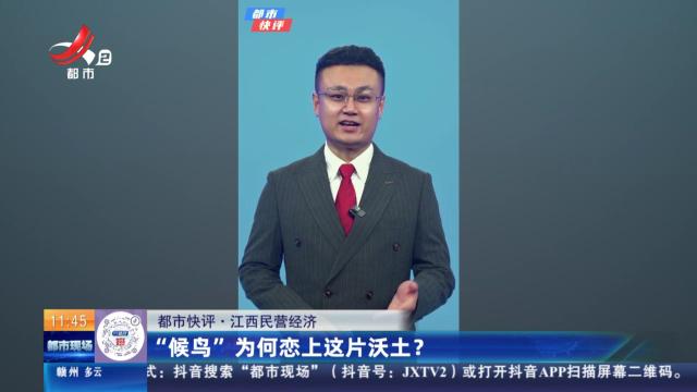 【都市快评·江西民营经济】“候鸟”为何恋上这片沃土？
