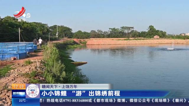 【赣闻天下】上饶万年：小小锦鲤 “游”出锦绣前程