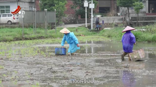 三农头条20250501