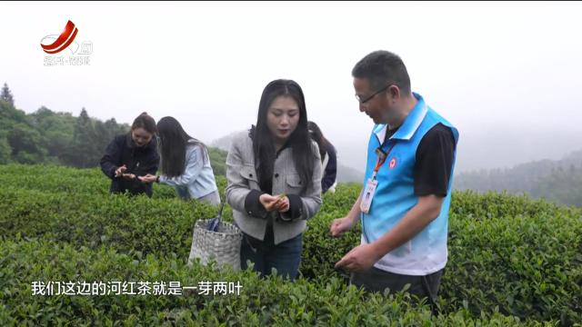 新闻晚高峰20250521