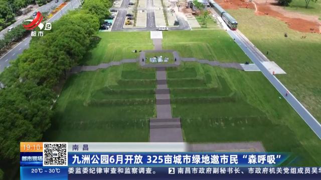 都市现场20250529