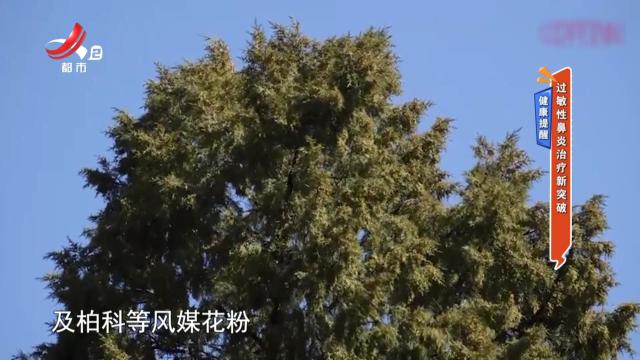 健康提醒——过敏性鼻炎治疗新突破