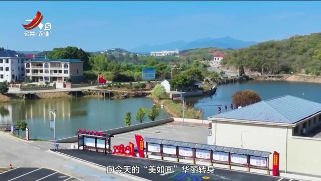 农问20250531