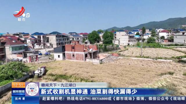 【赣闻天下】九江湖口：新式收割机显神通 油菜割得快漏得少