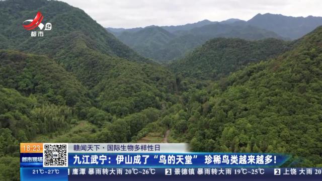 【赣闻天下·国际生物多样性日】九江武宁：伊山成了“鸟的天堂”珍稀鸟类越来越多！