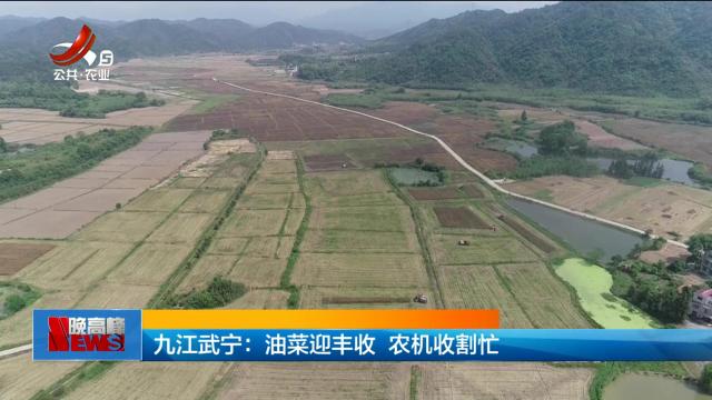 九江武宁：油菜迎丰收 农机收割忙