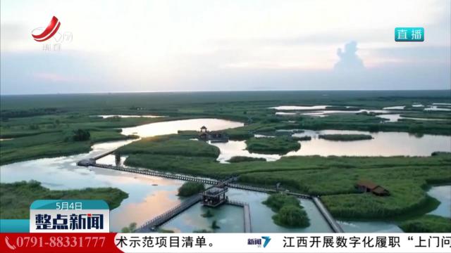 我国已设立国家湿地公园903处