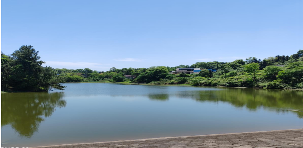 萍乡安源区1个案例入选江西省自然资源领域生态产品价值实现资产组合供应典型案例（第一批）