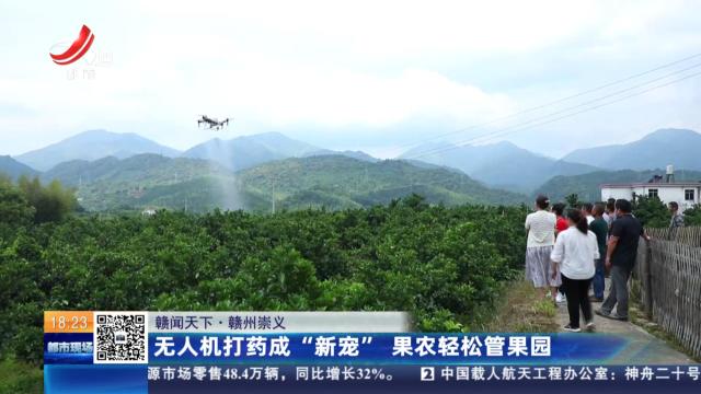 【赣闻天下】赣州崇义：无人机打药成“新宠” 果农轻松管果园