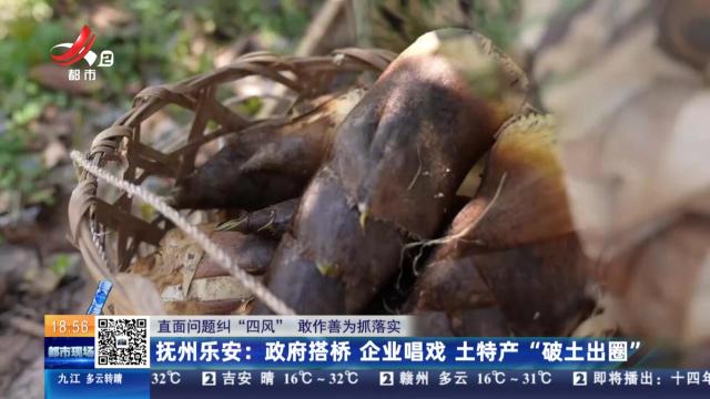 【直面问题纠“四风” 敢作善为抓落实】抚州乐安：政府搭桥 企业唱戏 土特产“破土出圈”