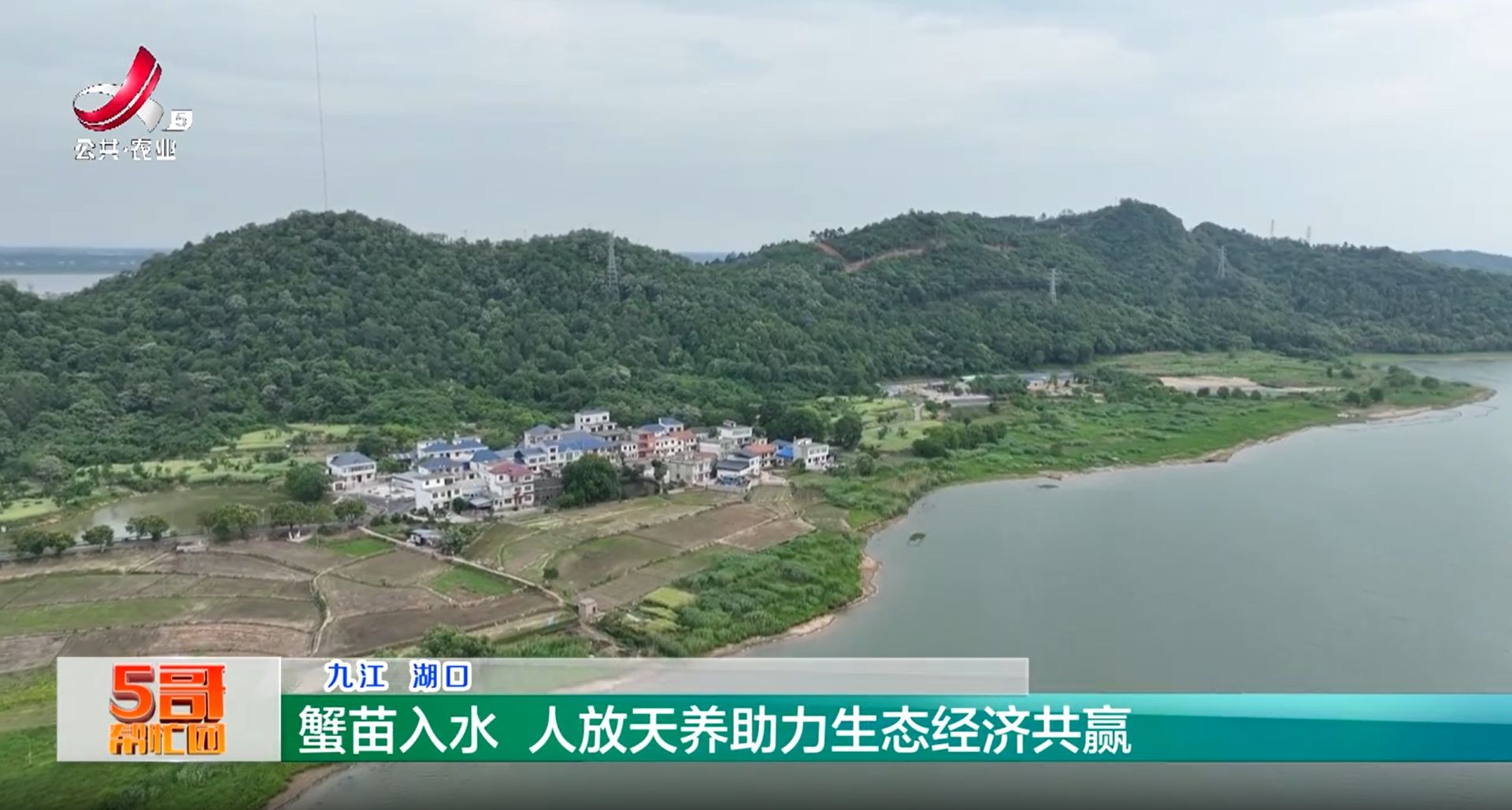 五哥帮忙团20250515