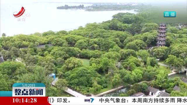 整点新闻20250520 10:00