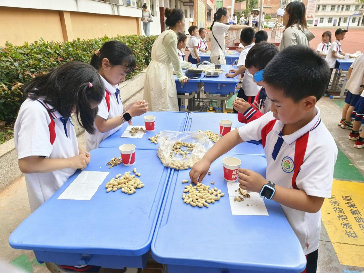以“劳”树品德，以“动”促成长——黎川县实验小学第三届劳动技能大赛