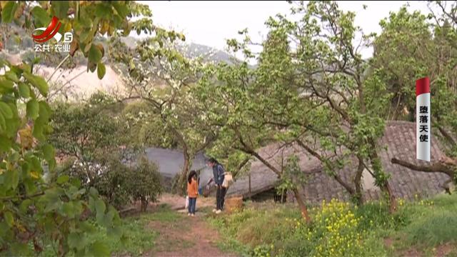 乡村栏目剧场20250513 堕落天使