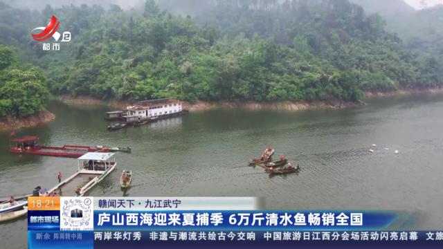 【赣闻天下】九江武宁：庐山西海迎来夏捕季 6万斤清水鱼畅销全国