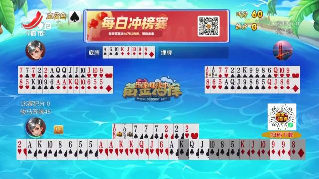 谁是赢家20250522