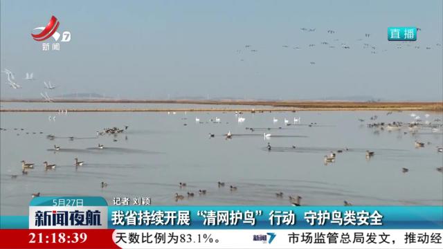 我省持续开展“清网护鸟”行动 守护鸟类安全