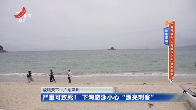 健康提醒——严重可致死 下海游泳小心“漂亮刺客”